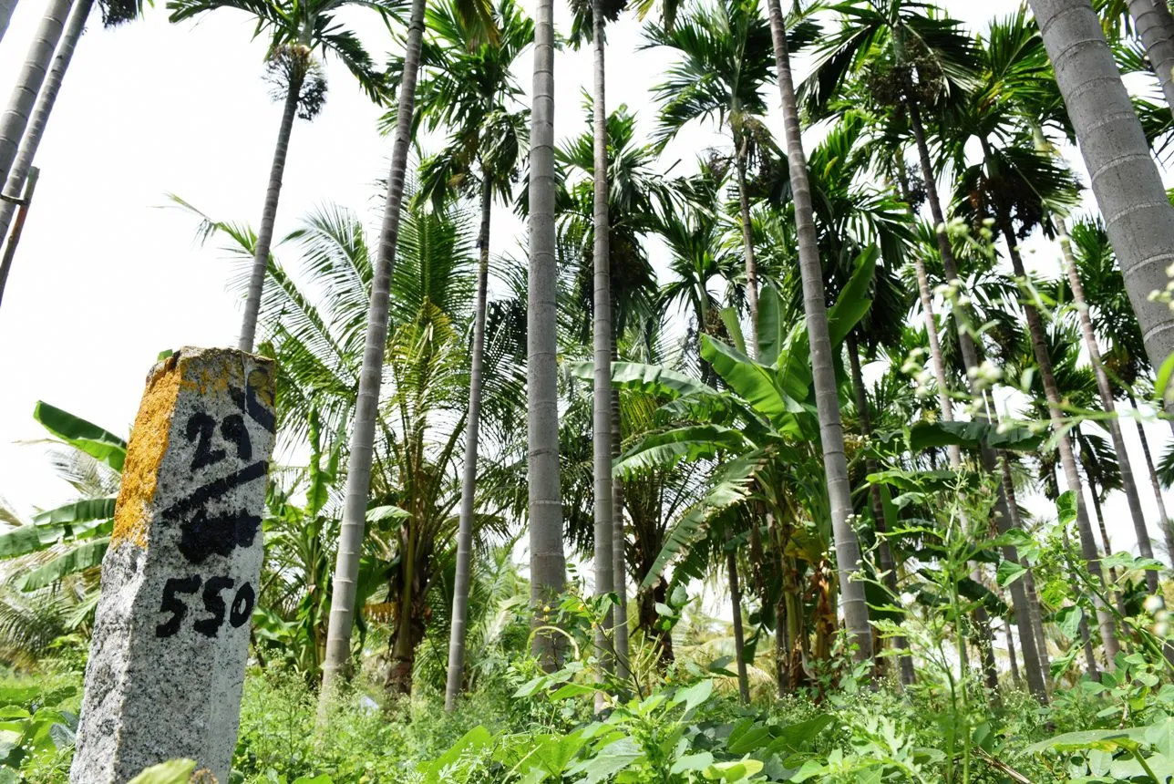 land alavu
